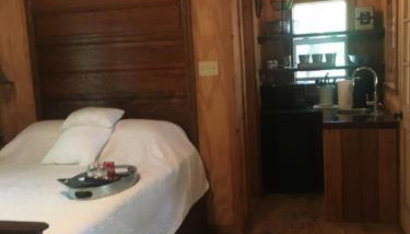 Happy Pine Cone - Foto 2