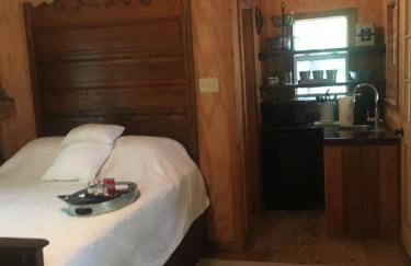 Happy Pine Cone - Foto 2