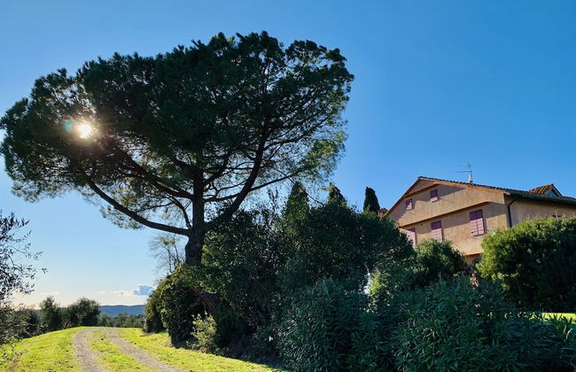 Tenuta Agricola Fraschiera - Foto 48