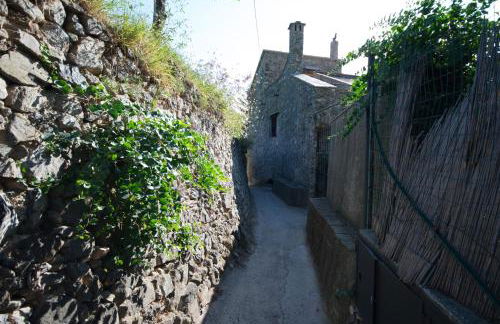 ROSAMIMAMA citra OO9042-LT-0250 - Foto 32