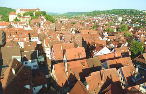 Ferienwohnung Wiedmann - Foto 13