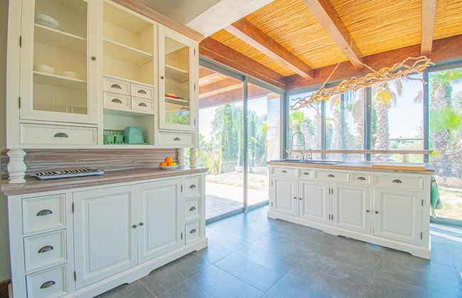 Yoba Horse Farm in Carvoeiro - Foto 16