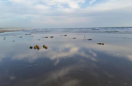 DEMEURE 300m DE LA PLAGE - Foto 22