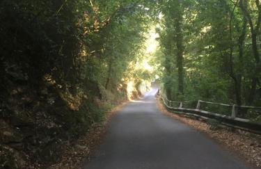 Cinque Terre, Tuscany, Liguria, Lerici, apartment #3 - Photo 56