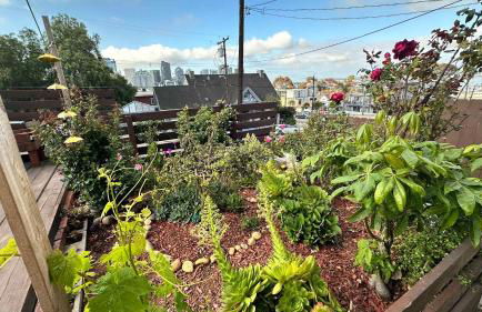 Suite Steps to San Diego Top Spots - Foto 20