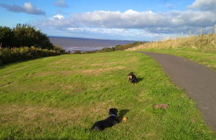 4 Laigh Isle - Foto 17