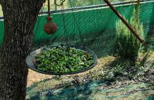 La tenuta di Eva - Foto 39