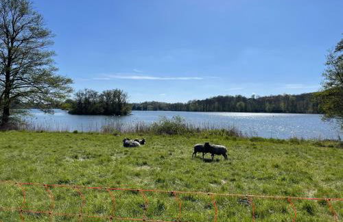 Ferienhaus am Mümmelbrook - Foto 29