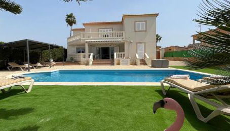 Schönes Ferienhaus Caesar mit großem Pool und Garten - Foto 1, Garden, sunbed, Garden view