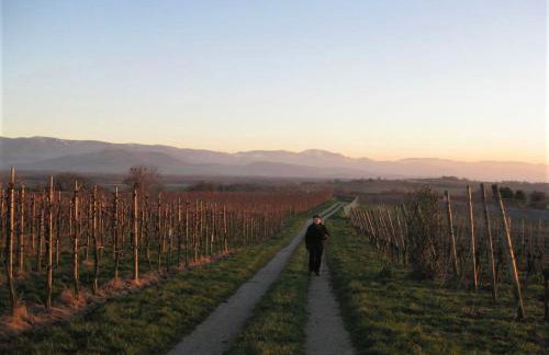 Zum Rebberg Ferienwohnungen - Photo 8