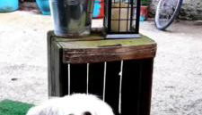 CASITA LUAN - Foto 2