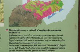 Ocean front La Maresia Holiday 2 Apartments - Foto 70