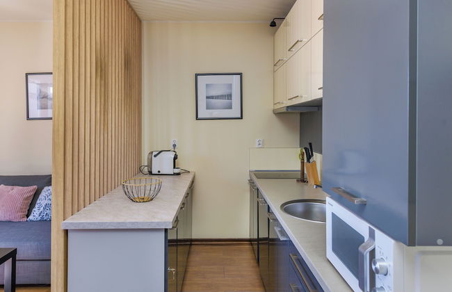 Apartament Sun & Snow Niska 10 - Photo 6