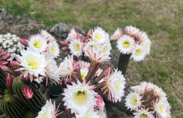 Poggio Roseto - Foto 152