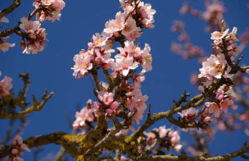 Alloggio La Perla, quiete ed eleganza con vista - Foto 33