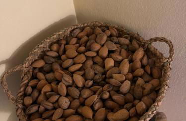 Mas del Llorenç - Foto 22