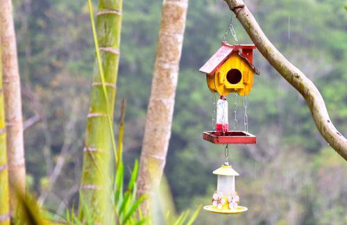 Sítio Maranatá, a mais bela vista do Pacoti! 20min de Guaramiranga! - Foto 11