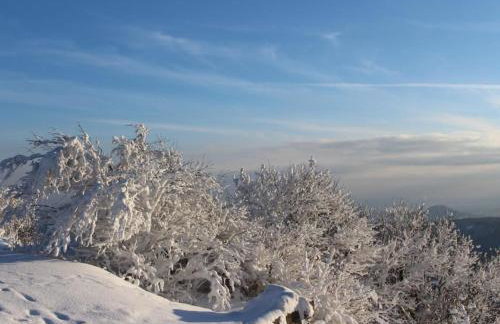 Holiday Home Jägerhaus by Interhome - Foto 40