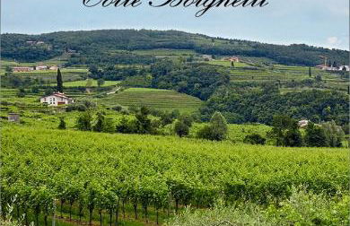 Appartamento Villa Borghetti - Photo 17