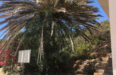 Egidio's House Casa Vacanze Portixeddu - Foto 32