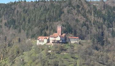 1-Zimmerapartment mit Burgblick - Foto 2