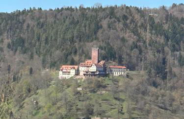 1-Zimmerapartment mit Burgblick - Foto 2