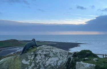 Beautiful 2-Bed Static caravan - Photo 13