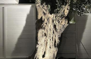 Villa Helio Kineta - Foto 36