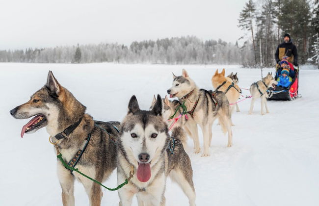 The Iconic Wikkelä Villa - Foto 47