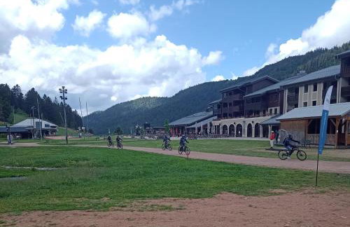 Notre Renardière, Gîtes à Saulxures-sur-Moselotte, Hautes-Vosges - Foto 63