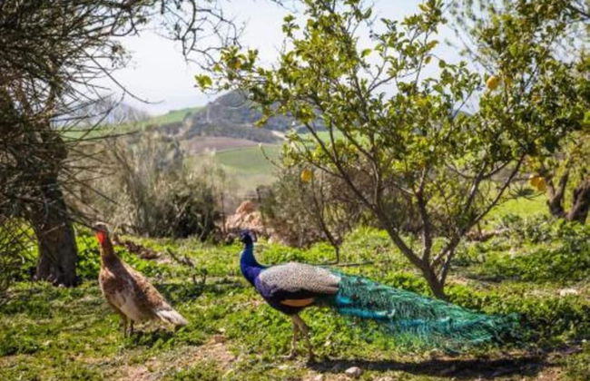 Holiday Home in Villanueva Near El Torcal Park - Foto 22