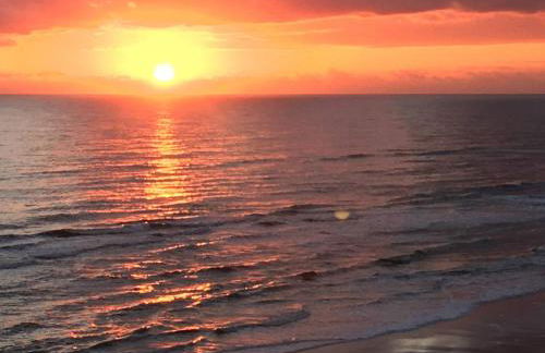 Opus Condominiums - Photo 35