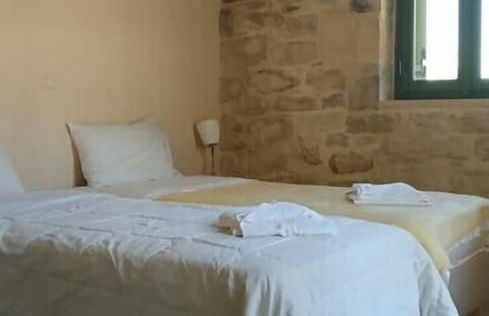 Vamos Fabrica Farm - Foto 12