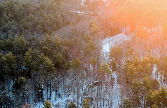 Postcard Cabins Blake Brook, Outdoor Collection by Marriott Bonvoy - Foto 60