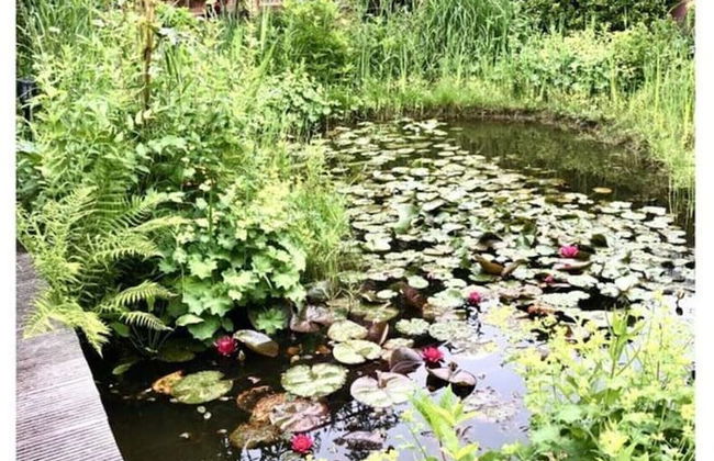 Unexpected-bochum Comfortable Vacation Home - Foto 34