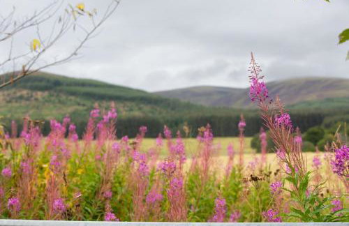 Mike's 3-bedroom Countryside Cottage - Foto 36