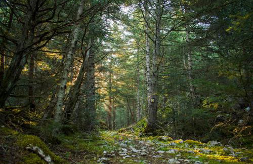 Gileri eco & design Residences - Photo 31