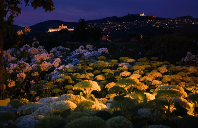 Il Fienile di Assisi - Foto 74