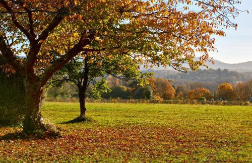 Garden flat near Goodwood with stunning views - Foto 24