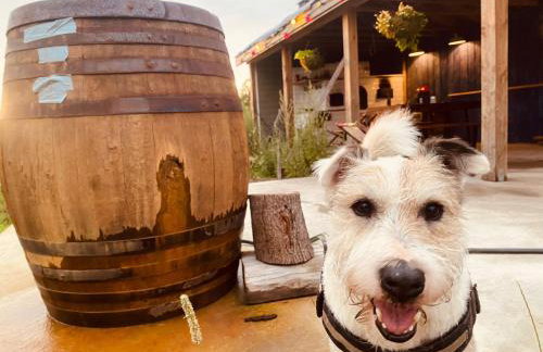 dla mnie się podoba - Foto 19