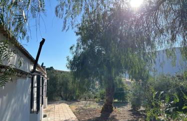 Cortijo Burruelo - Photo 7