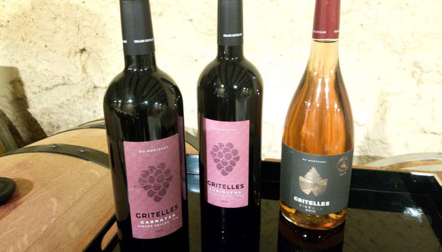 Priorat Winery Day Trip - Foto 5