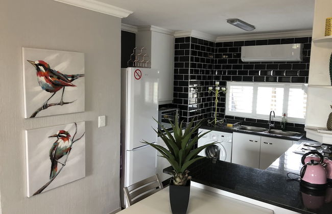 60 The Shades - Foto 11