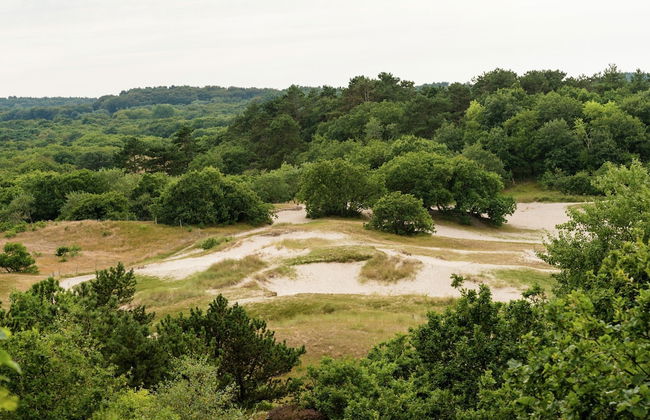 Apartment in Bergen Near Schoorl Dunes - Photo 30