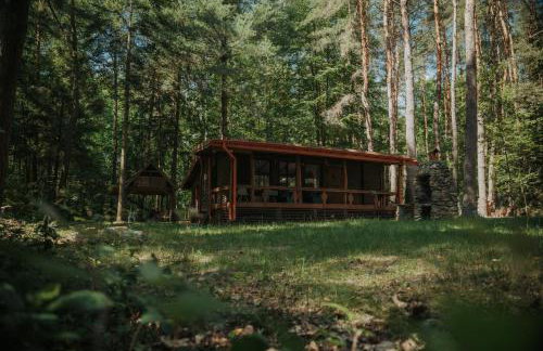 Forest Cabin - 50min od Warszawy - Foto 26