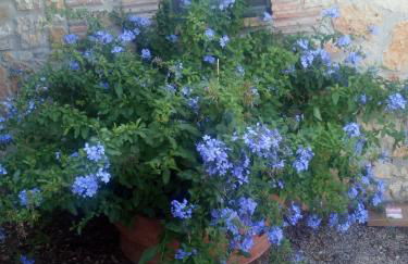 Case Cordovani - Foto 55