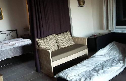 Morchella MushROOM - Foto 15