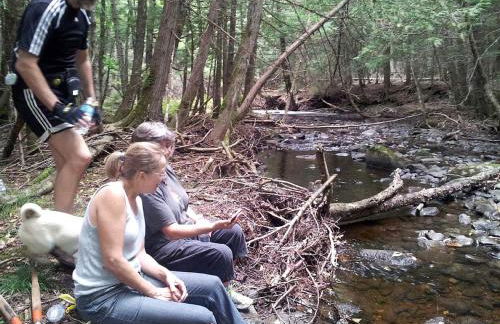 Rustic Camping Cabin with Fireplace in Private Woods near Bangor, Maine - Foto 20