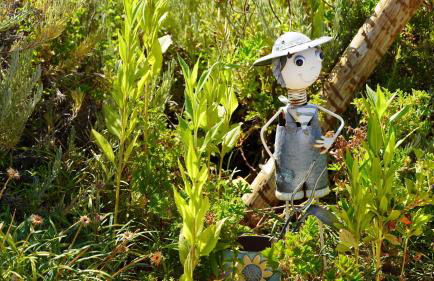 Agroturismo Xistos - Foto 54