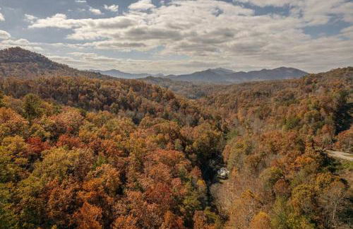 Little Blue in the Smoky Mountains - Foto 19